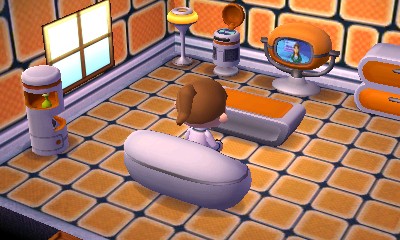 Animal Crossing: New Leaf - Imagen 20